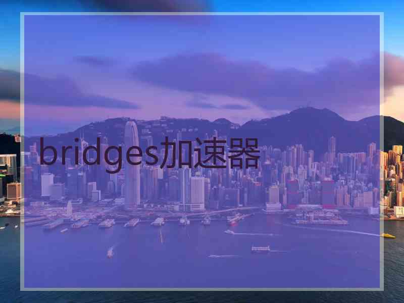 bridges加速器