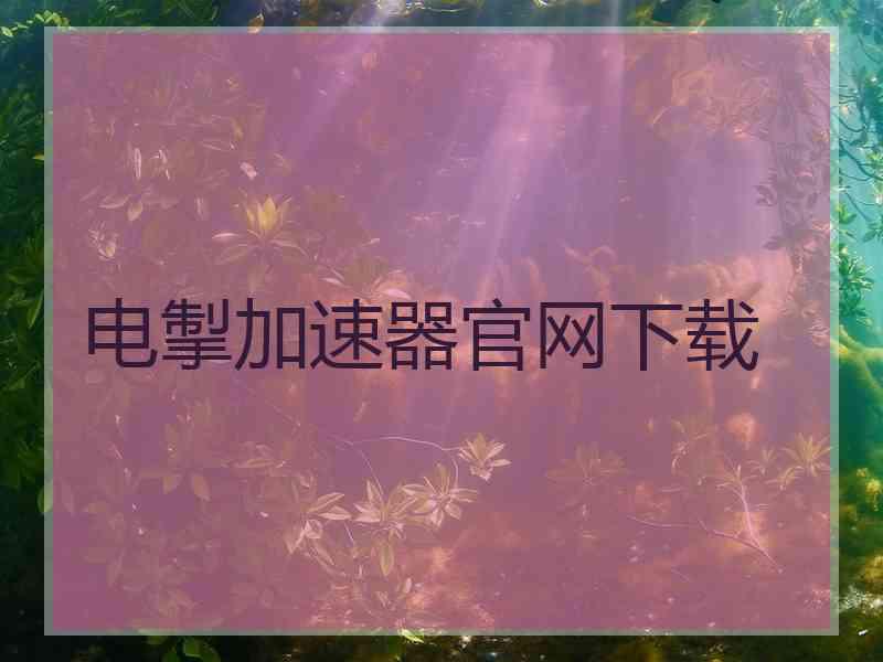 电掣加速器官网下载