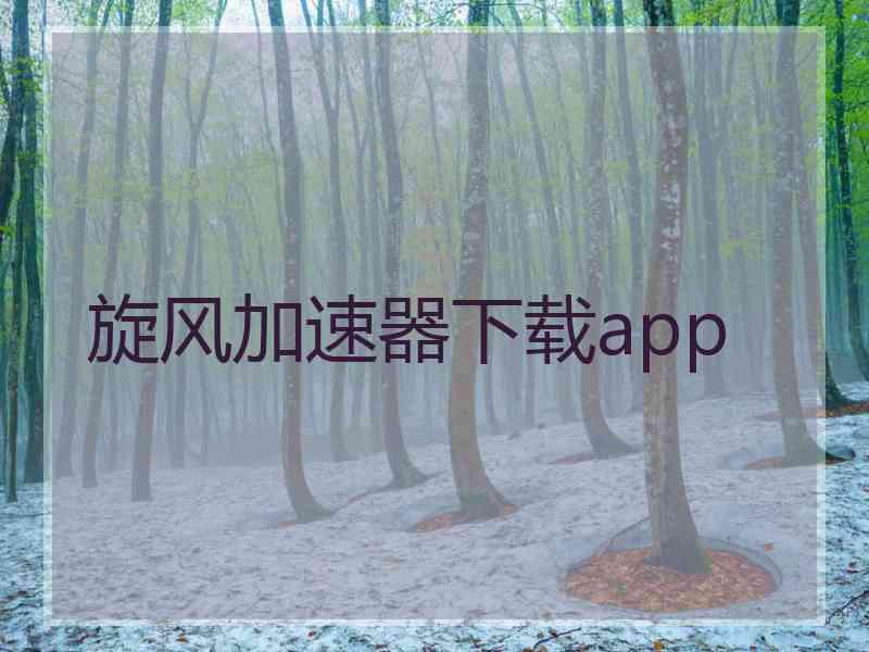 旋风加速器下载app