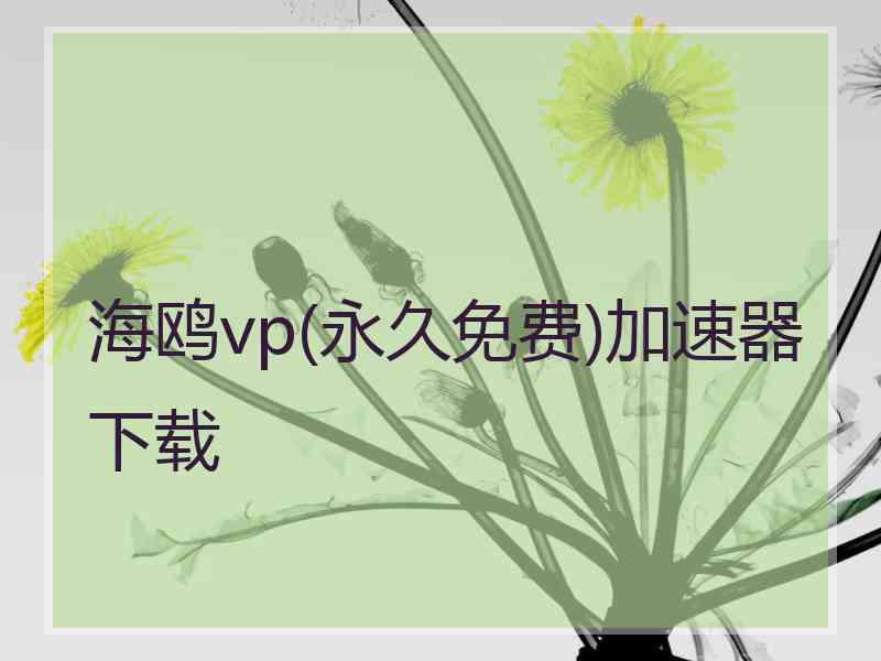 海鸥vp(永久免费)加速器下载