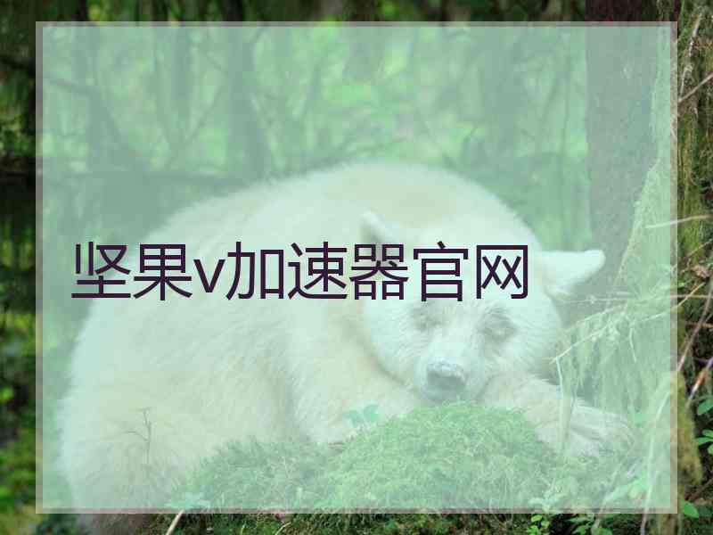 坚果v加速器官网