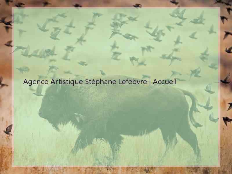 Agence Artistique Stéphane Lefebvre | Accueil