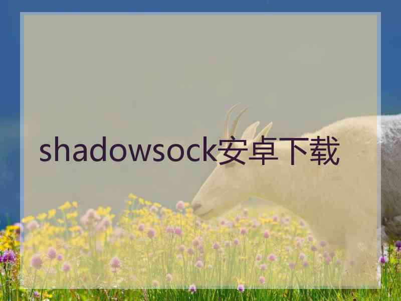 shadowsock安卓下载