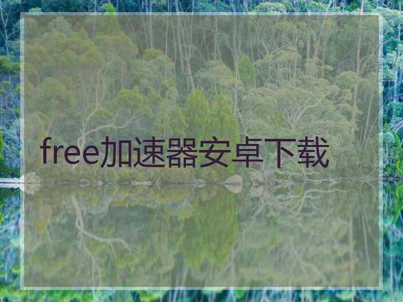 free加速器安卓下载