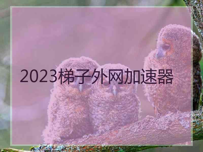 2023梯子外网加速器