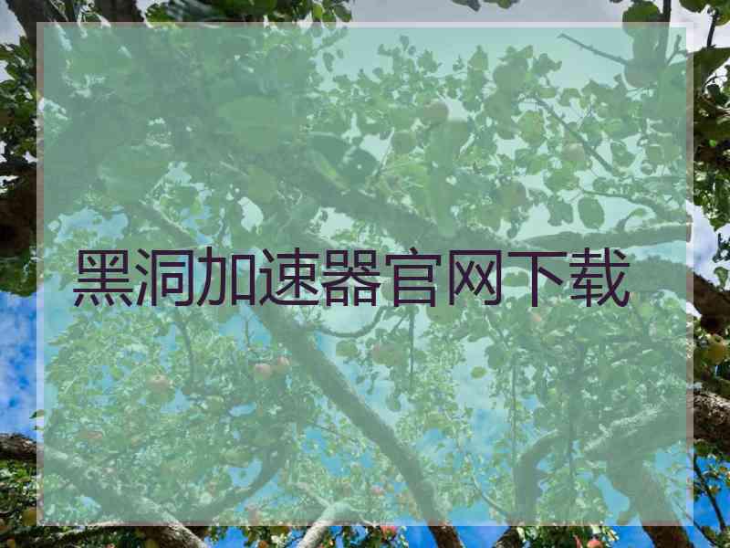 黑洞加速器官网下载