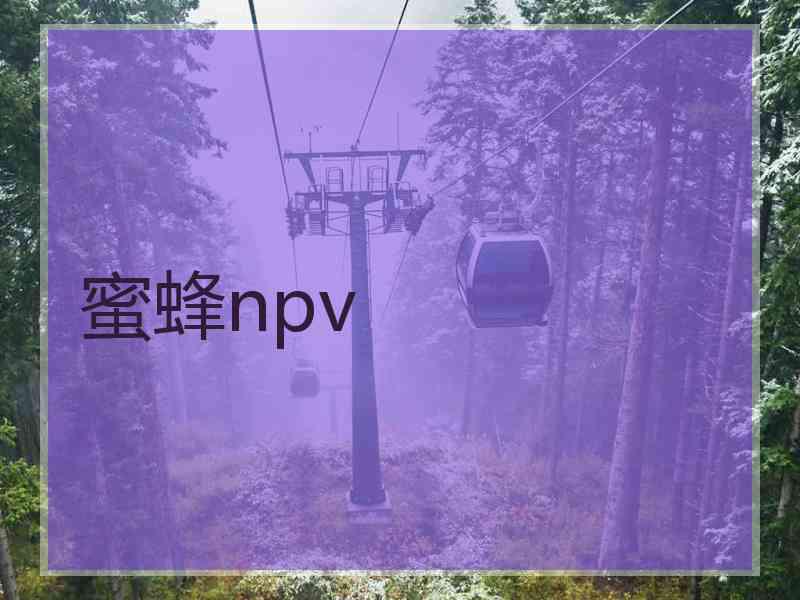 蜜蜂npv