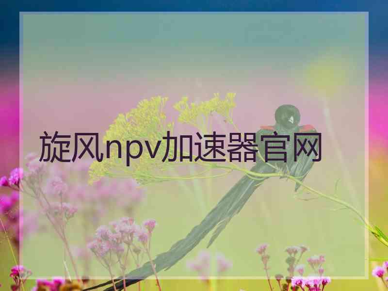 旋风npv加速器官网