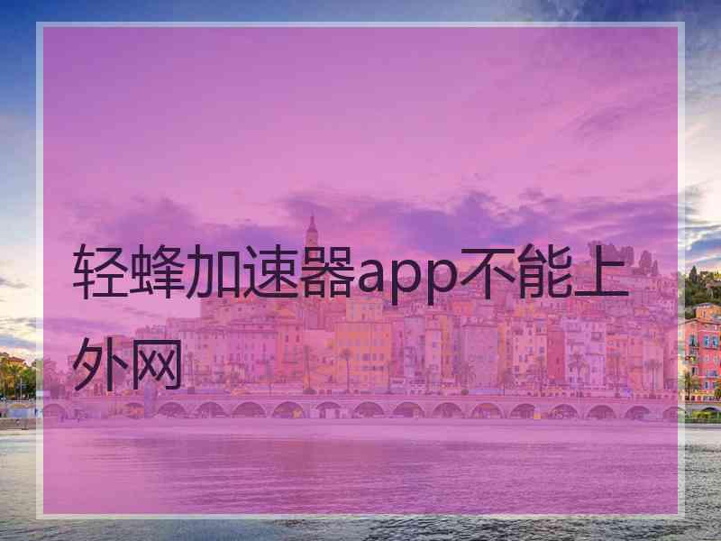 轻蜂加速器app不能上外网