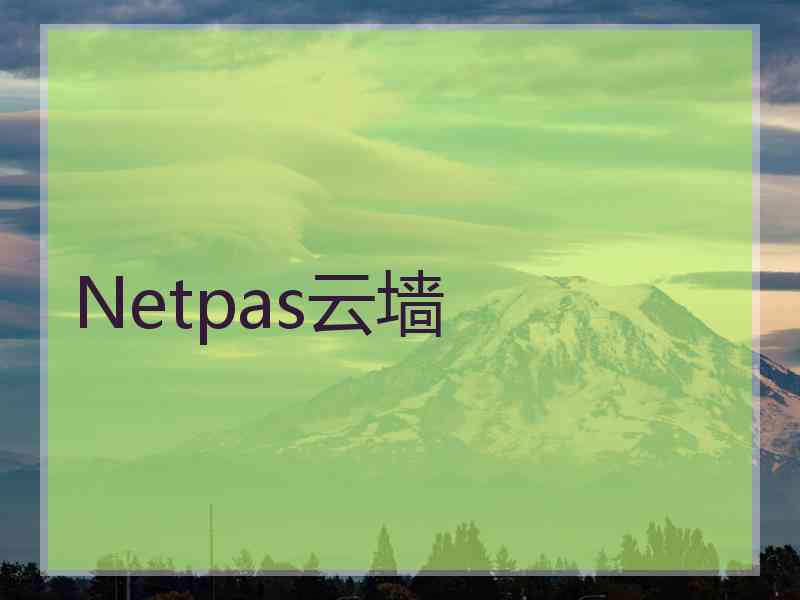 Netpas云墙