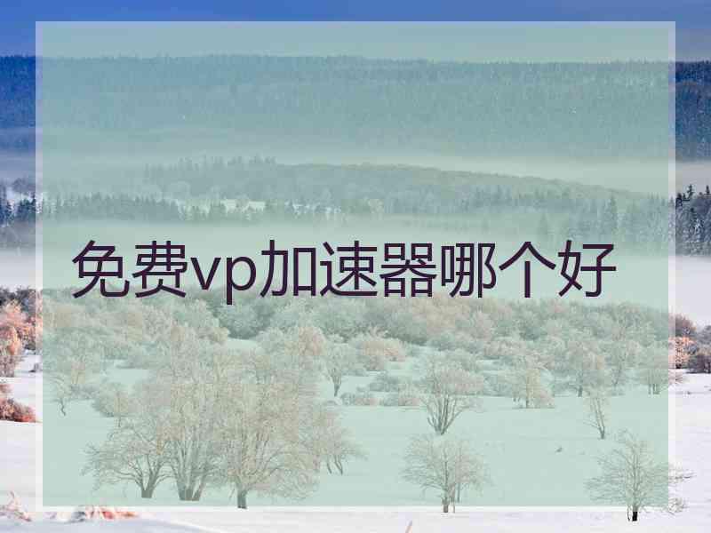 免费vp加速器哪个好