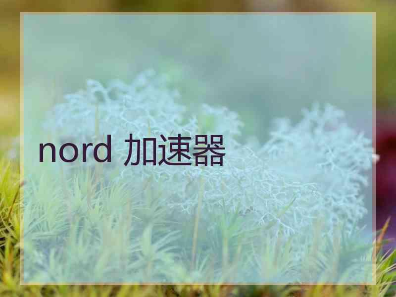 nord 加速器