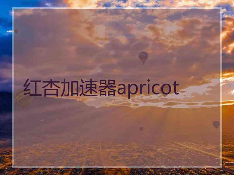 红杏加速器apricot