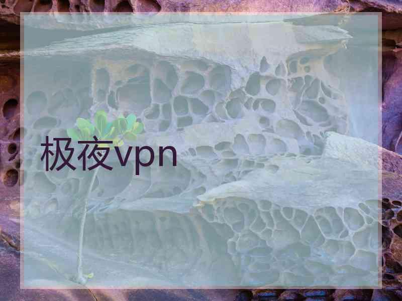 极夜vpn