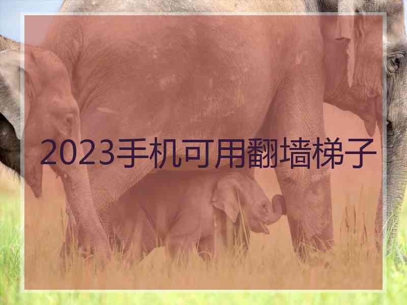 2023手机可用翻墙梯子