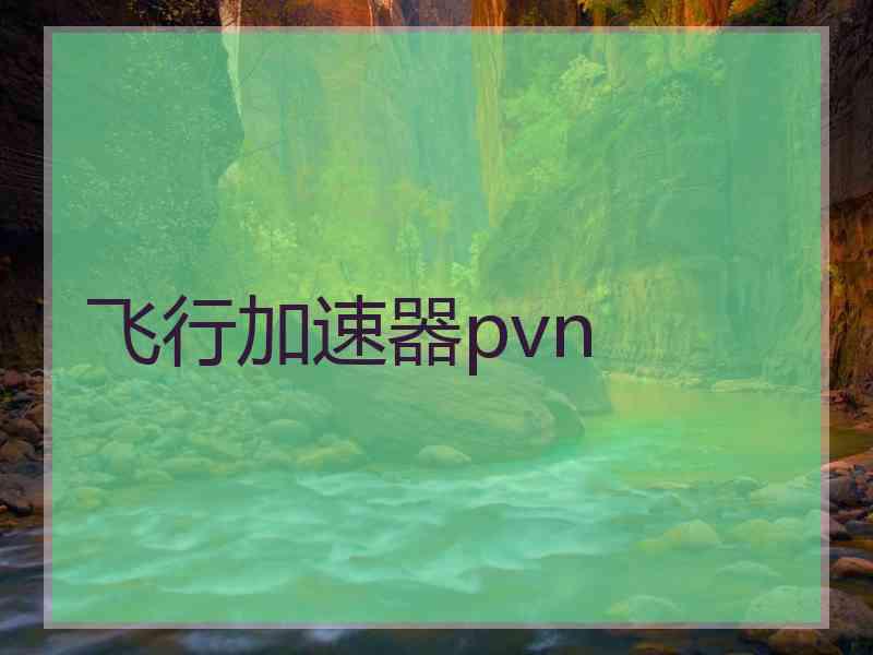 飞行加速器pvn