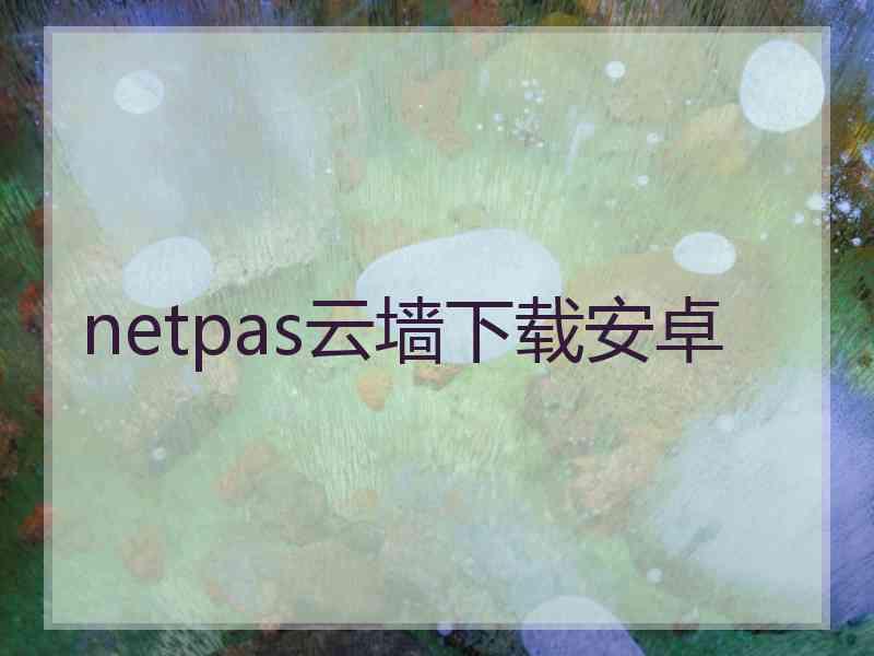 netpas云墙下载安卓