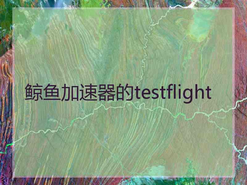 鲸鱼加速器的testflight