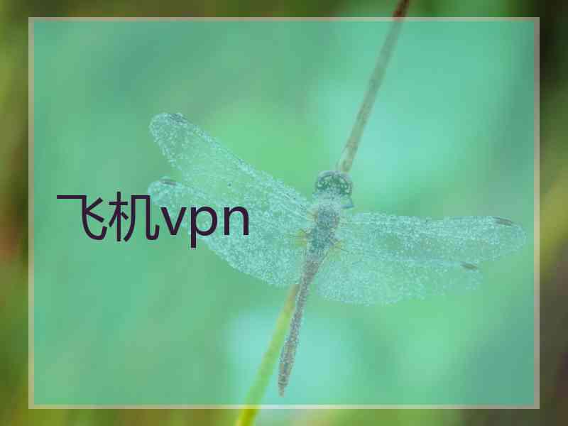 飞机vpn