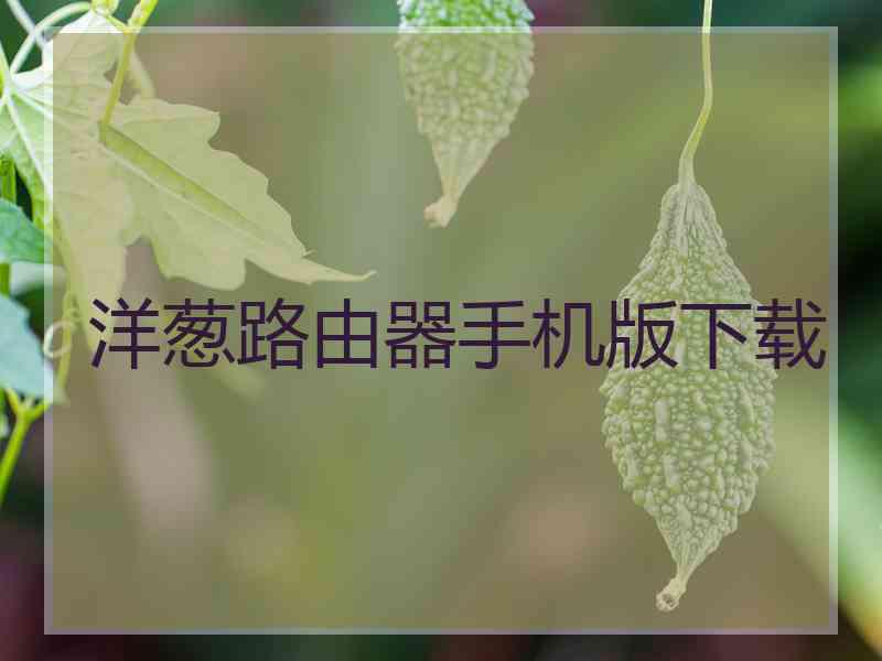 洋葱路由器手机版下载