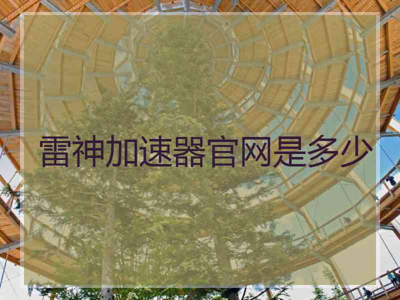 雷神加速器官网是多少