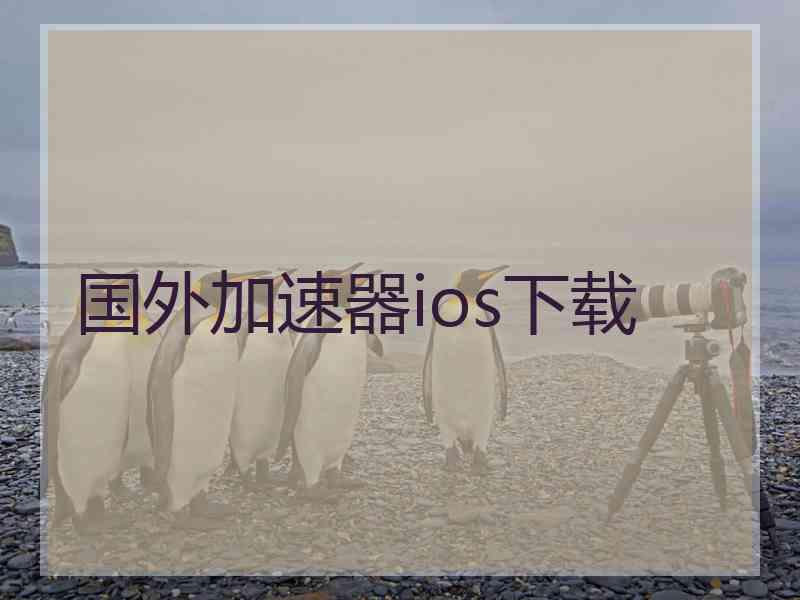 国外加速器ios下载