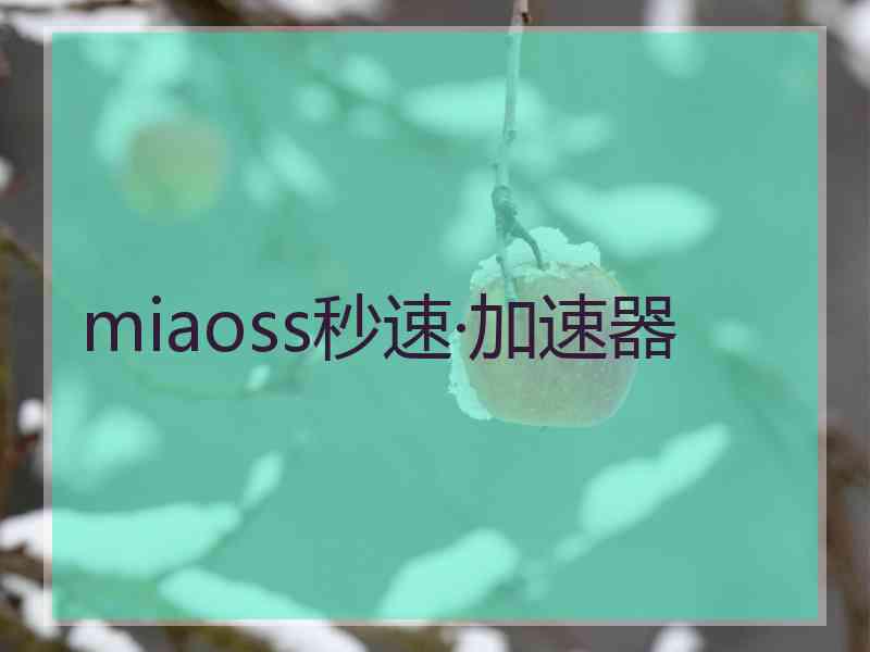 miaoss秒速·加速器