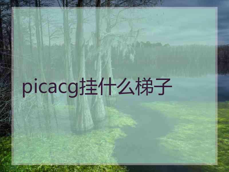 picacg挂什么梯子