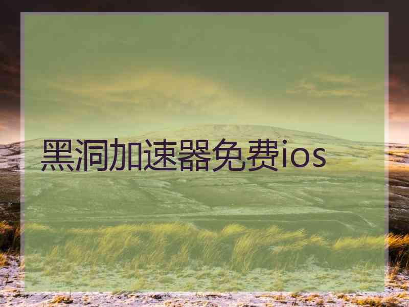 黑洞加速器免费ios