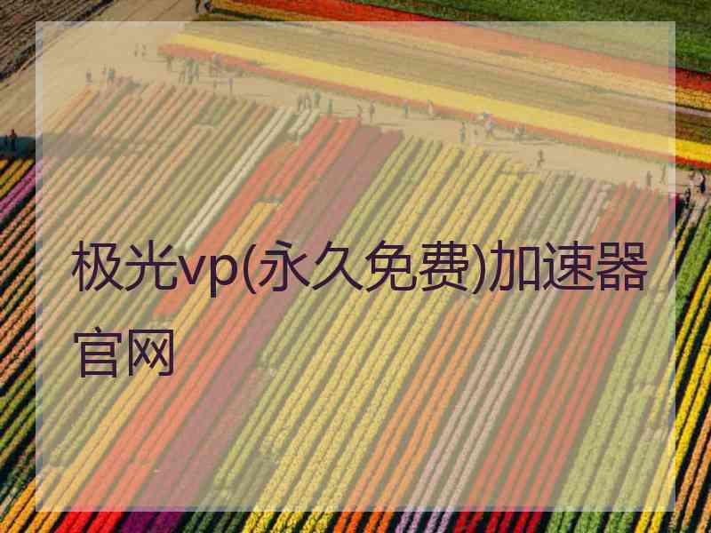 极光vp(永久免费)加速器官网