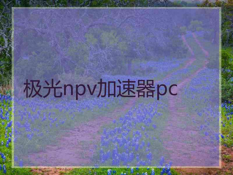 极光npv加速器pc