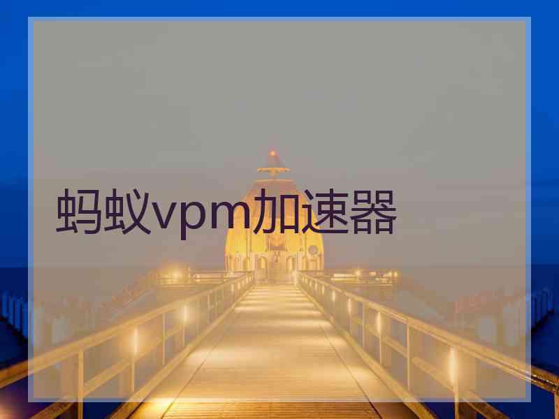 蚂蚁vpm加速器