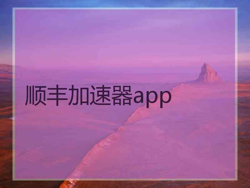 顺丰加速器app