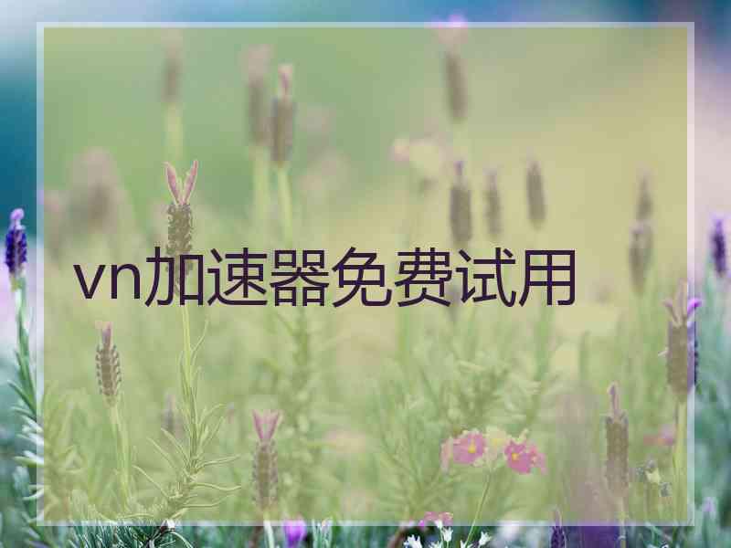 vn加速器免费试用