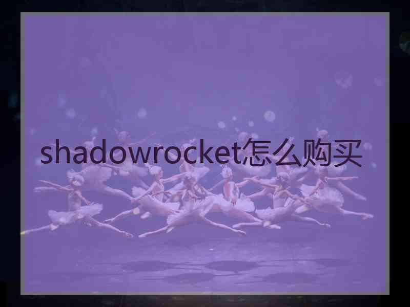 shadowrocket怎么购买