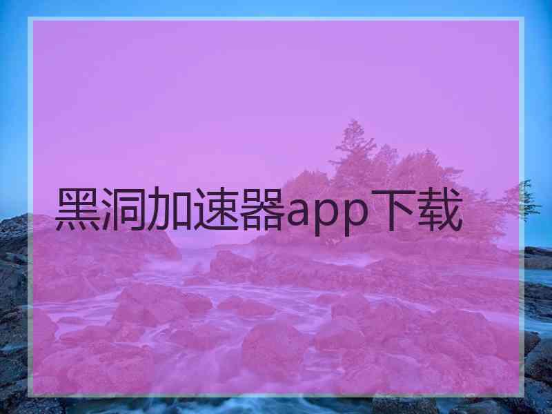 黑洞加速器app下载