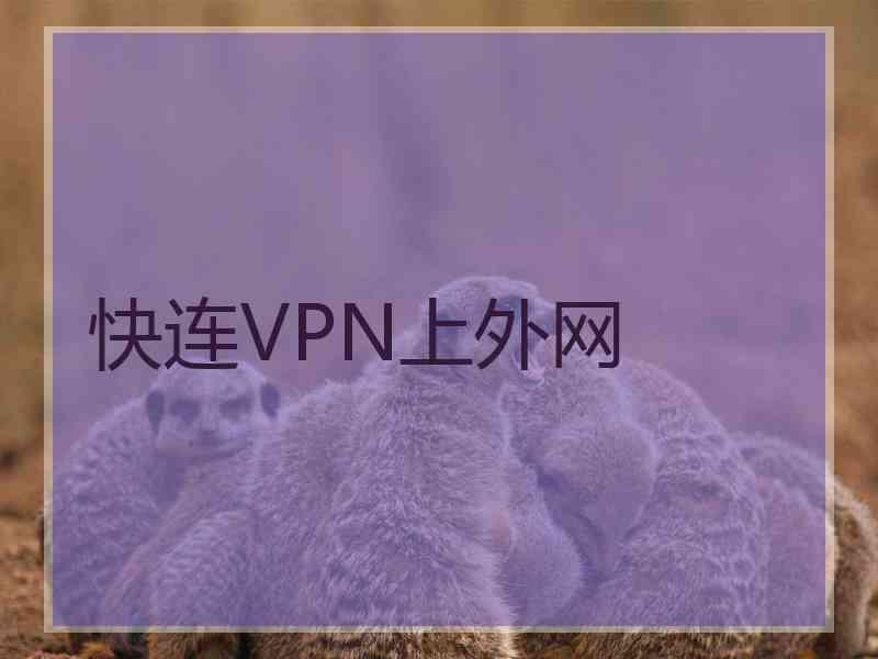 快连VPN上外网