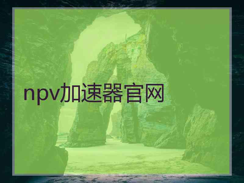 npv加速器官网