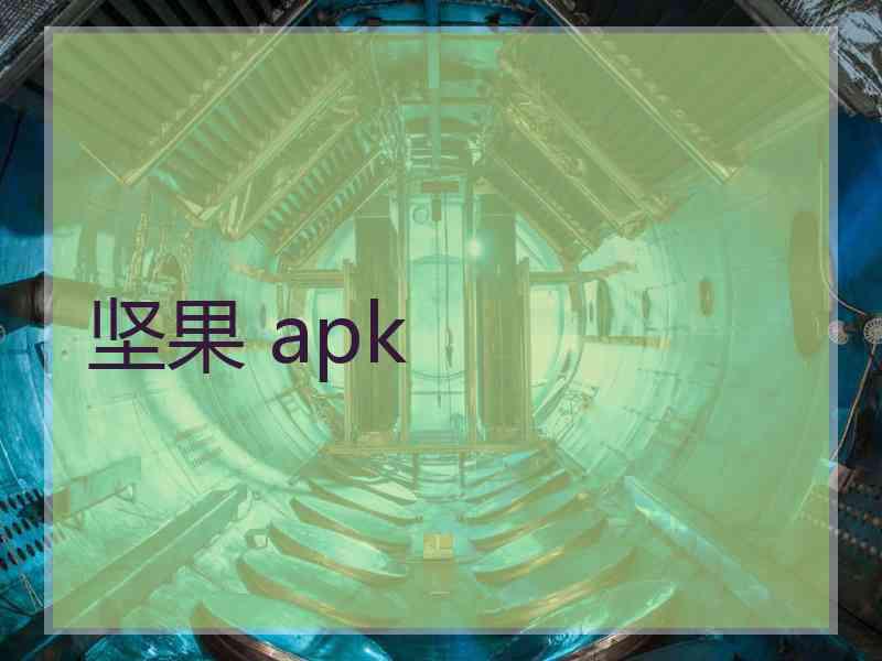 坚果 apk