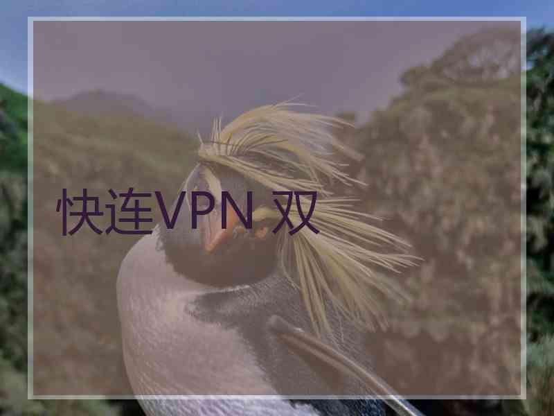 快连VPN 双