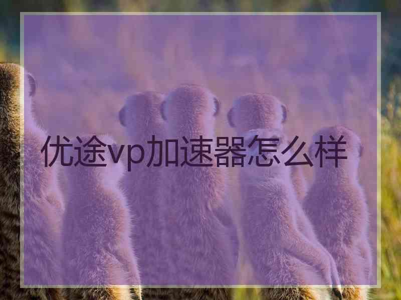 优途vp加速器怎么样