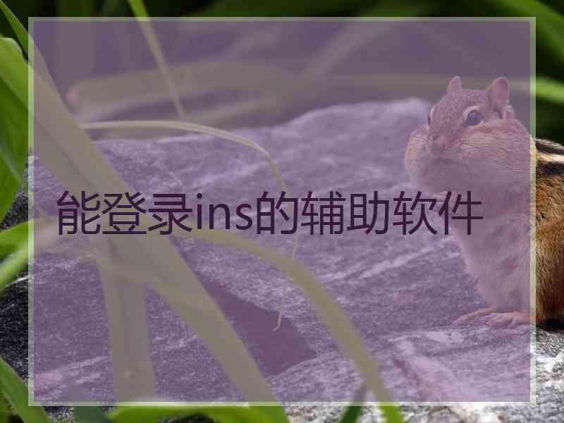 能登录ins的辅助软件