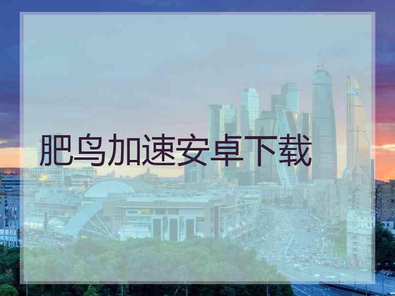 肥鸟加速安卓下载