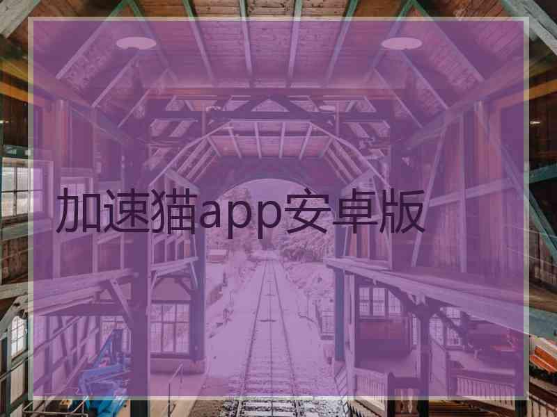 加速猫app安卓版