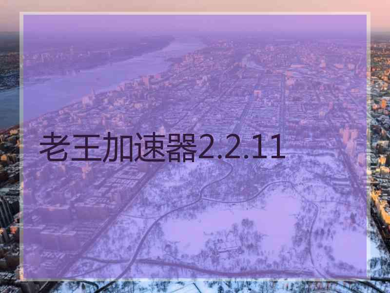 老王加速器2.2.11