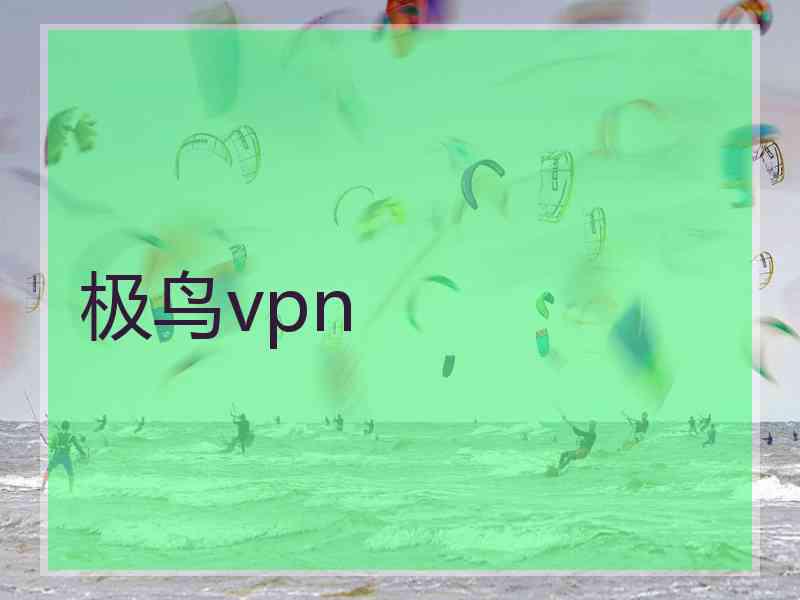 极鸟vpn