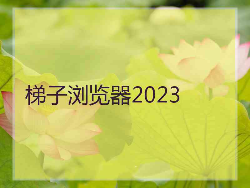 梯子浏览器2023