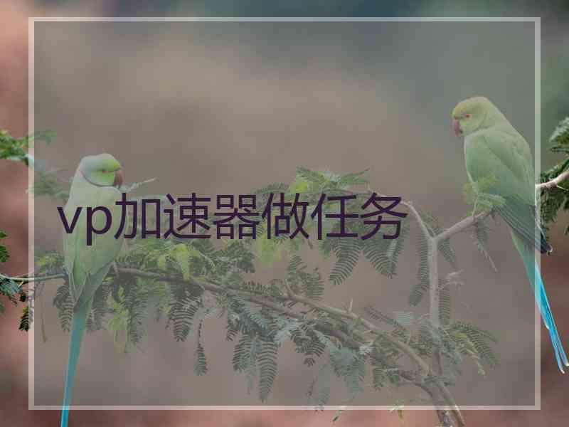 vp加速器做任务