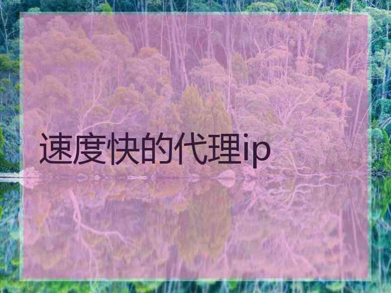 速度快的代理ip