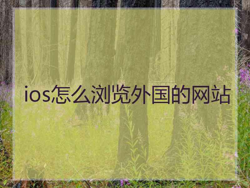 ios怎么浏览外国的网站